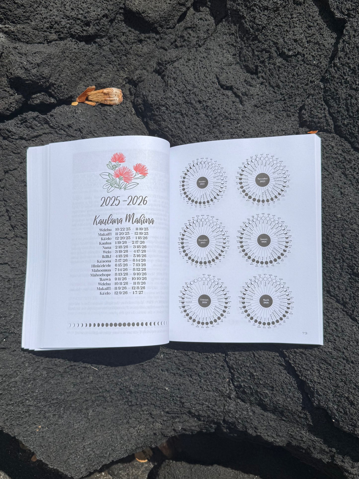 Annual Planner Moon Calendar