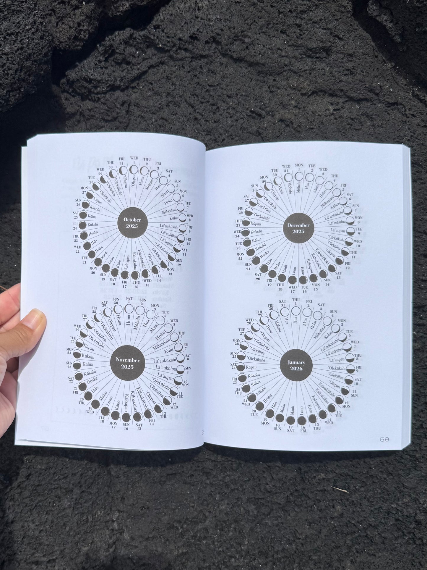 Compact Planner Annual Layout