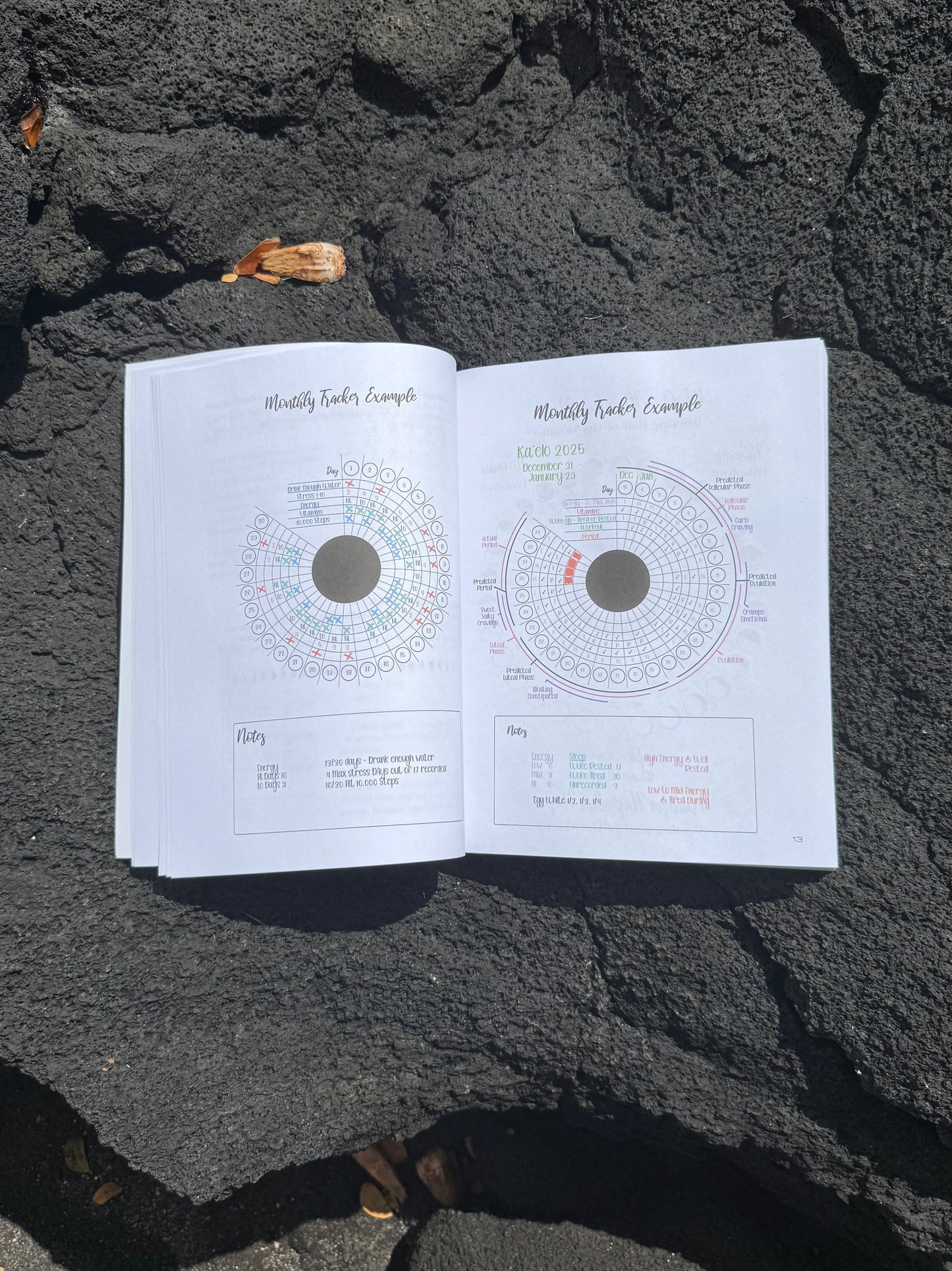 2026 - 2027 Kaulana Mahina Lunar Alignment Planner - Hawaiian Lunar Calendar - Blue Cover