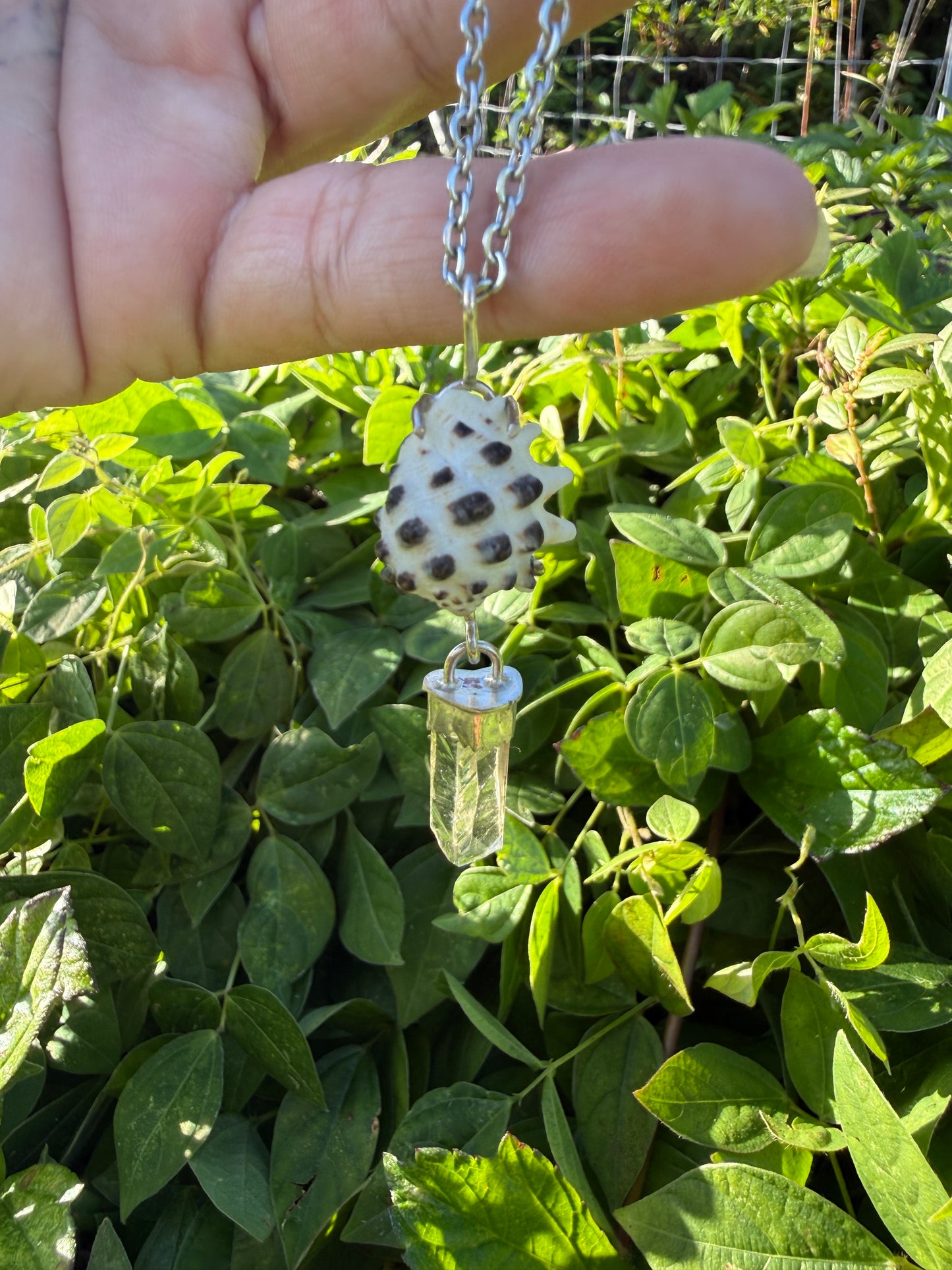 White Hawaiian Drupe Shell with Clear Hansen Creek Quartz Crystal Necklace