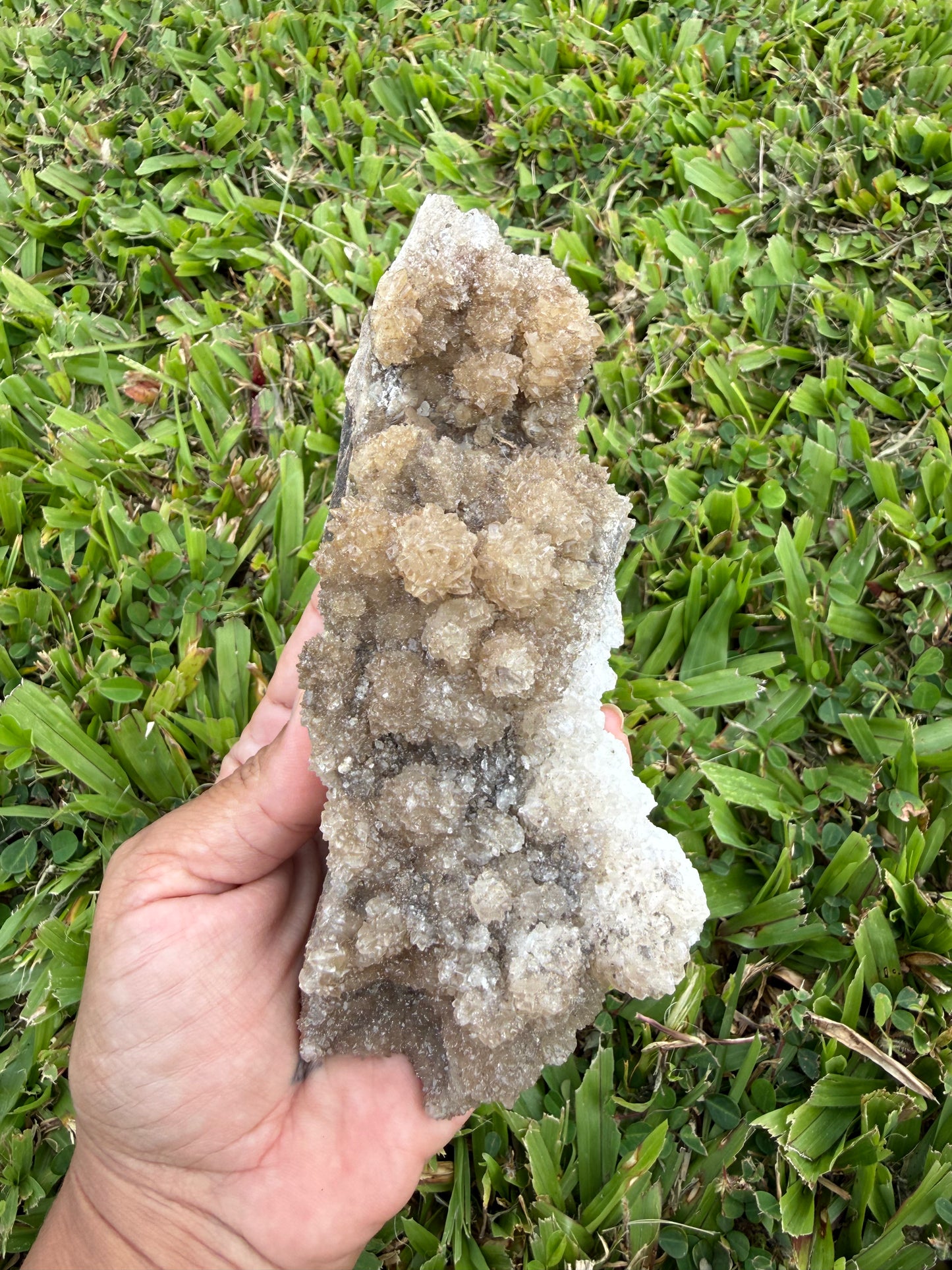 Tan Aragonite Cave Calcite Cluster