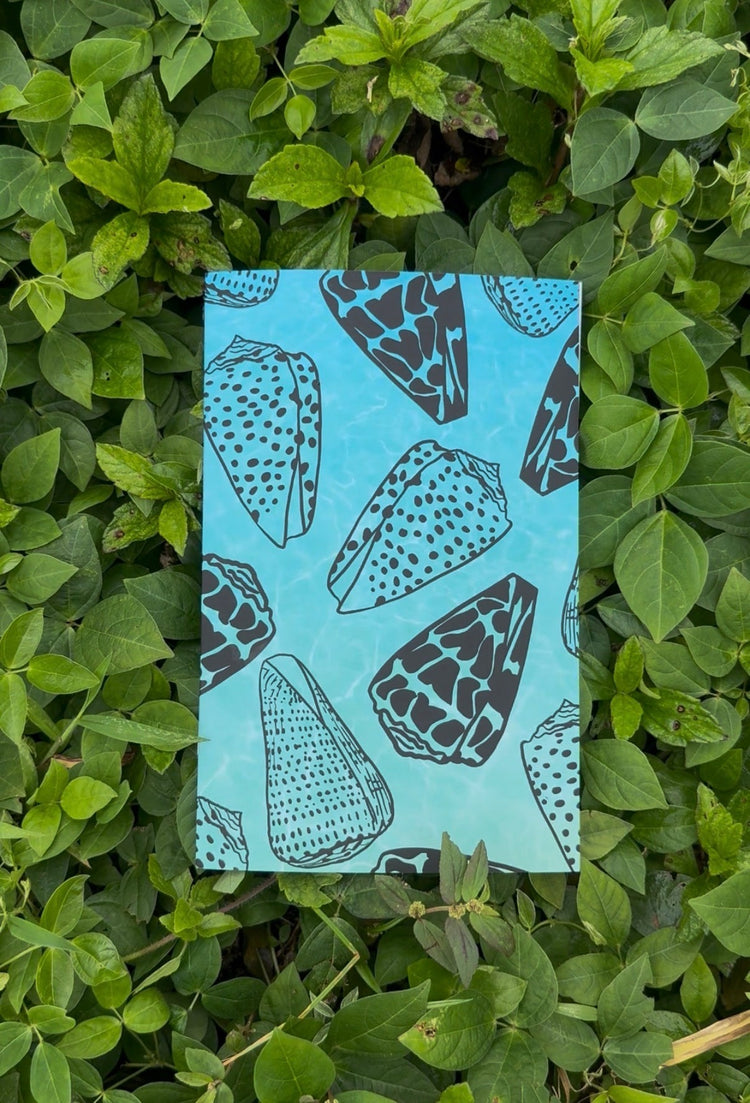 Notebooks & Cards