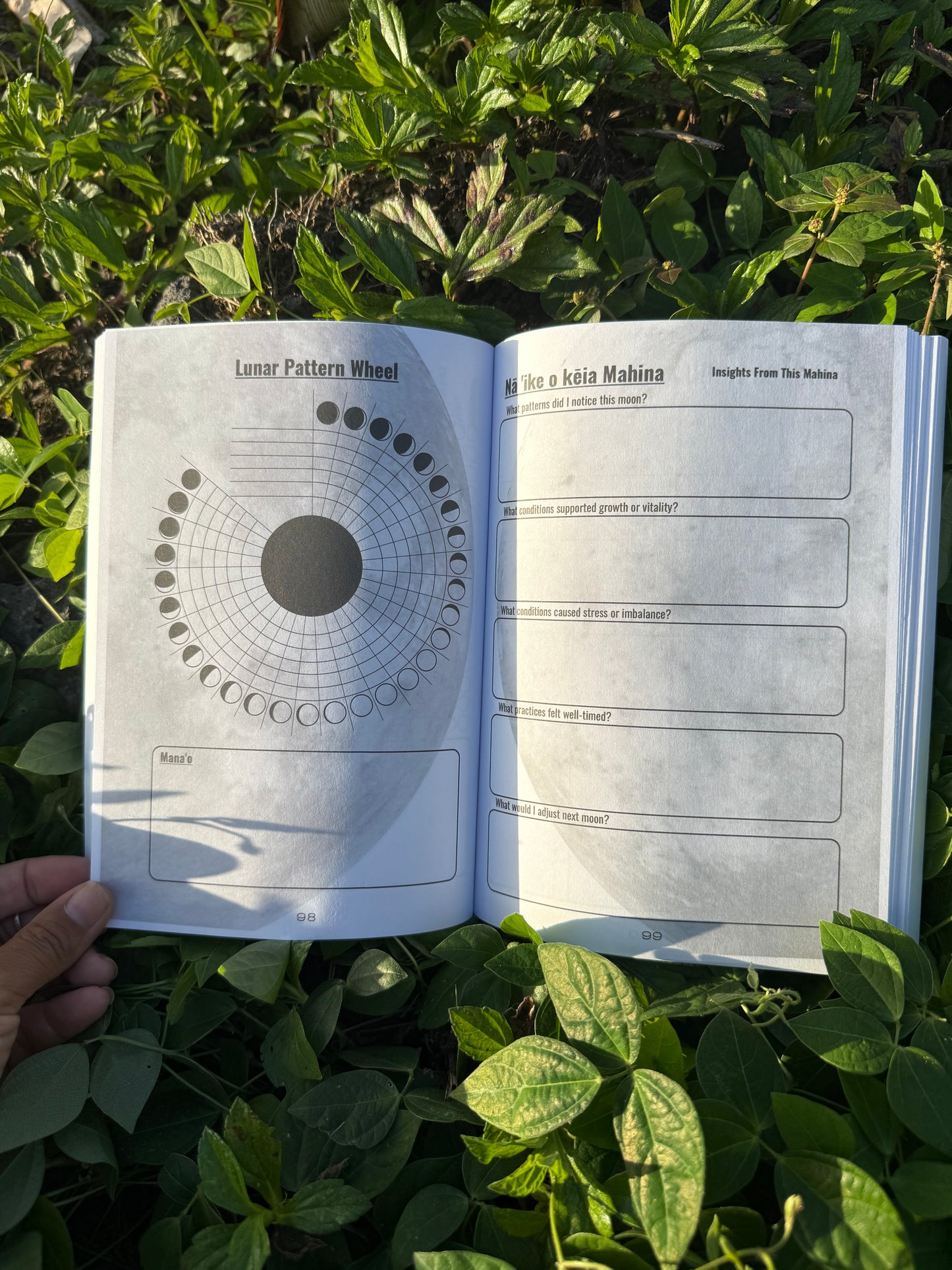 PRE-ORDER NOW - 2026 - 2027 Māla & Mahina: A Kilo Log for the Garden - Ships end of March 2026