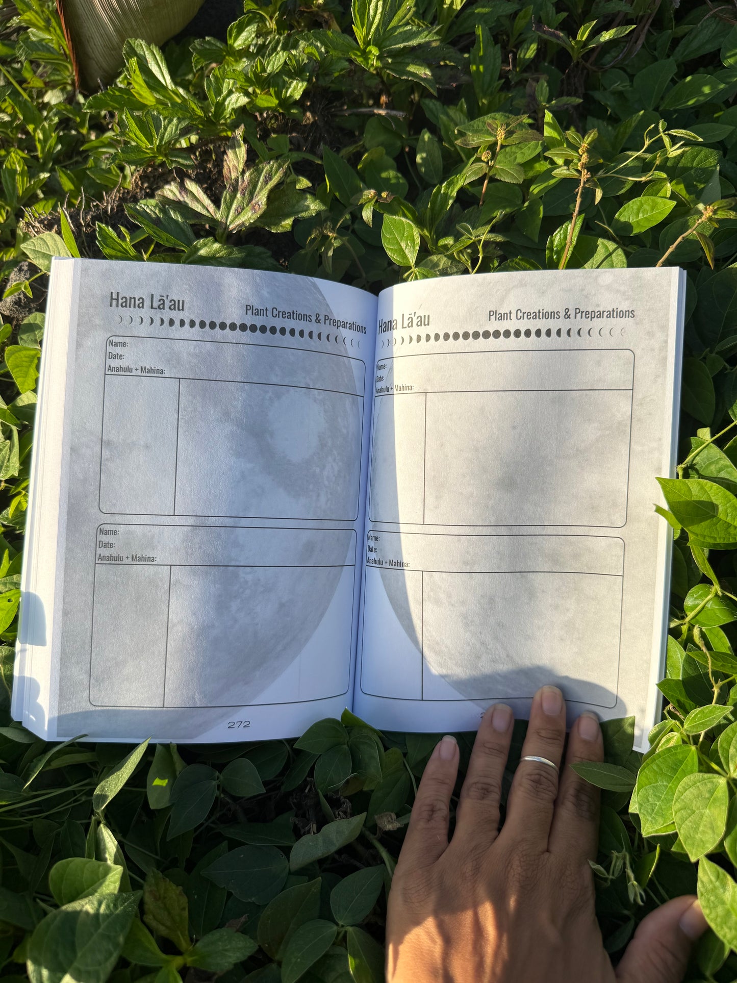 PRE-ORDER NOW - 2026 - 2027 Māla & Mahina: A Kilo Log for the Garden - Ships end of March 2026