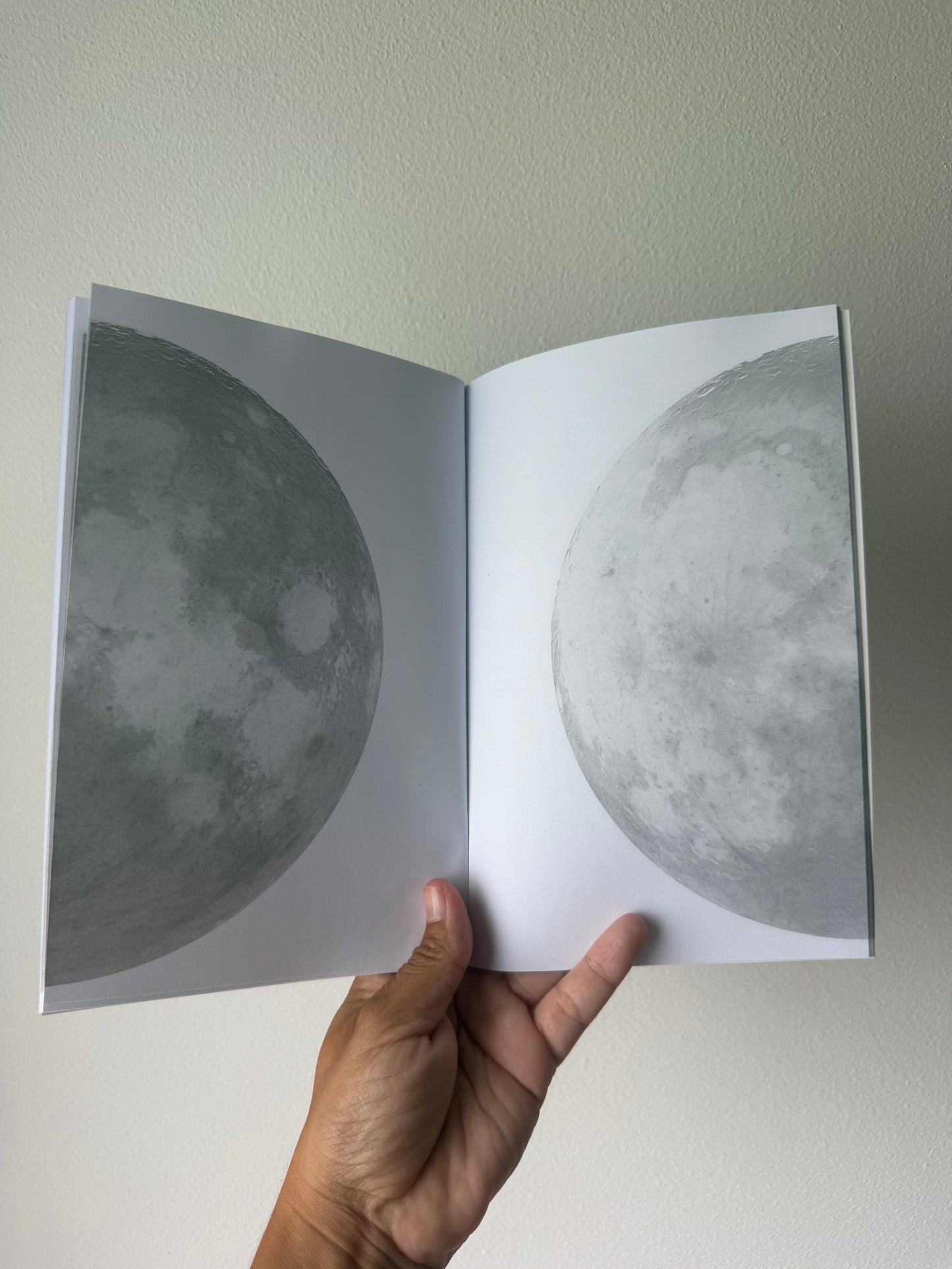 **NEW** Mahina Pocket Notebooks