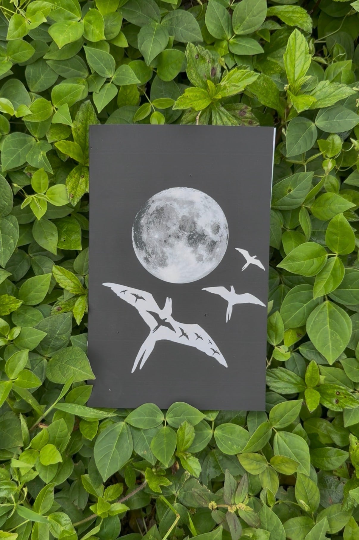 **NEW** Mahina Pocket Notebooks
