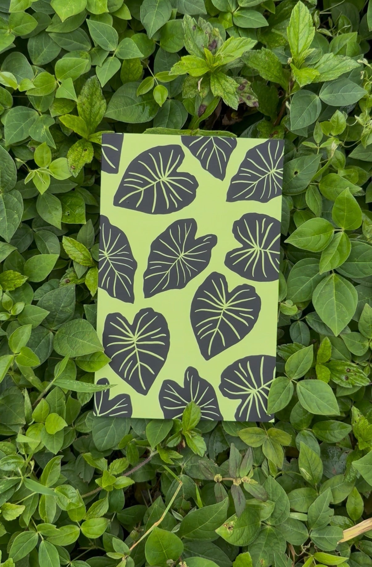 **NEW** Mahina Pocket Notebooks