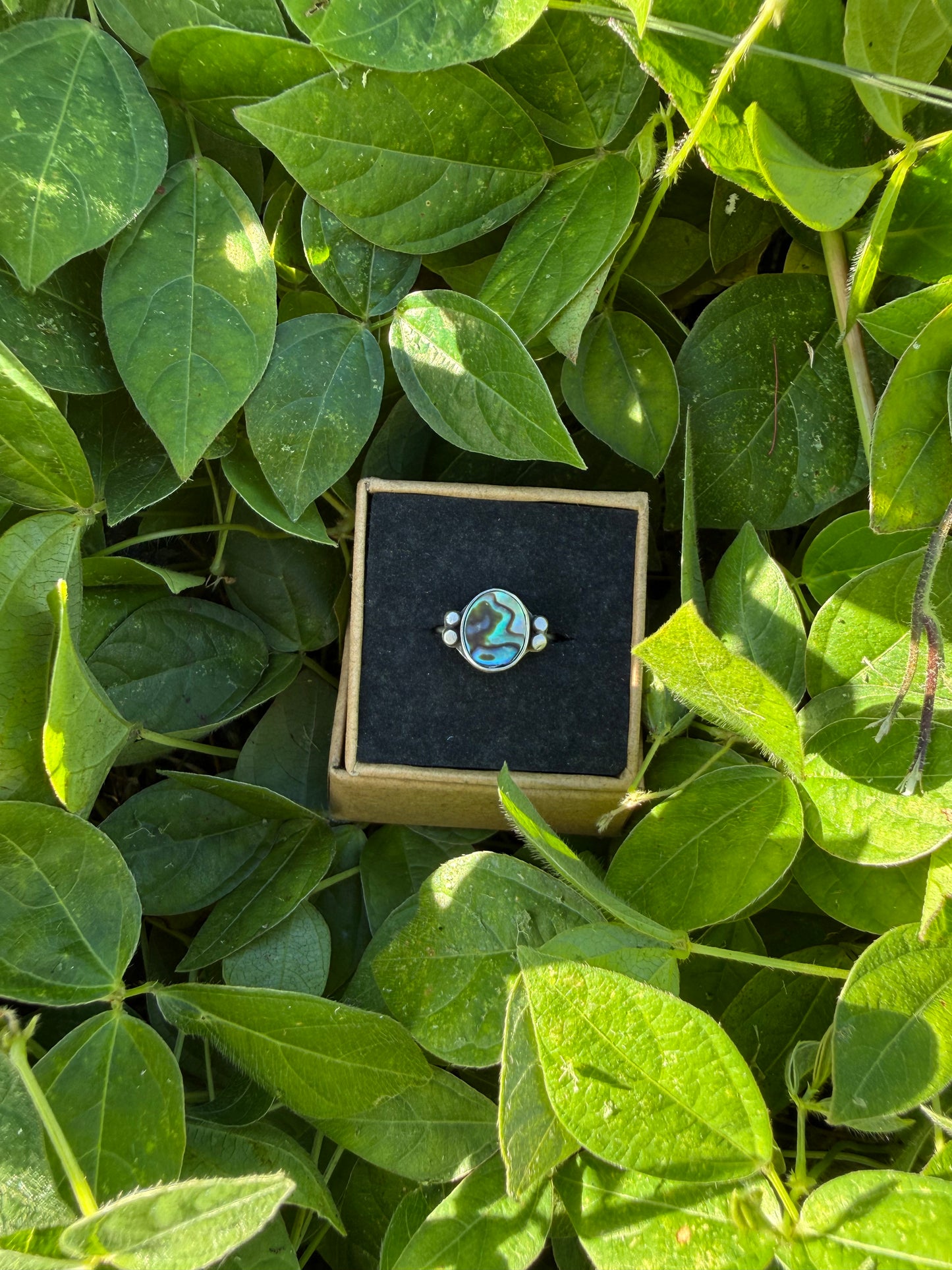 Abalone Mother of Pearl Sterling Silver Ring with Accents - Size 6.5