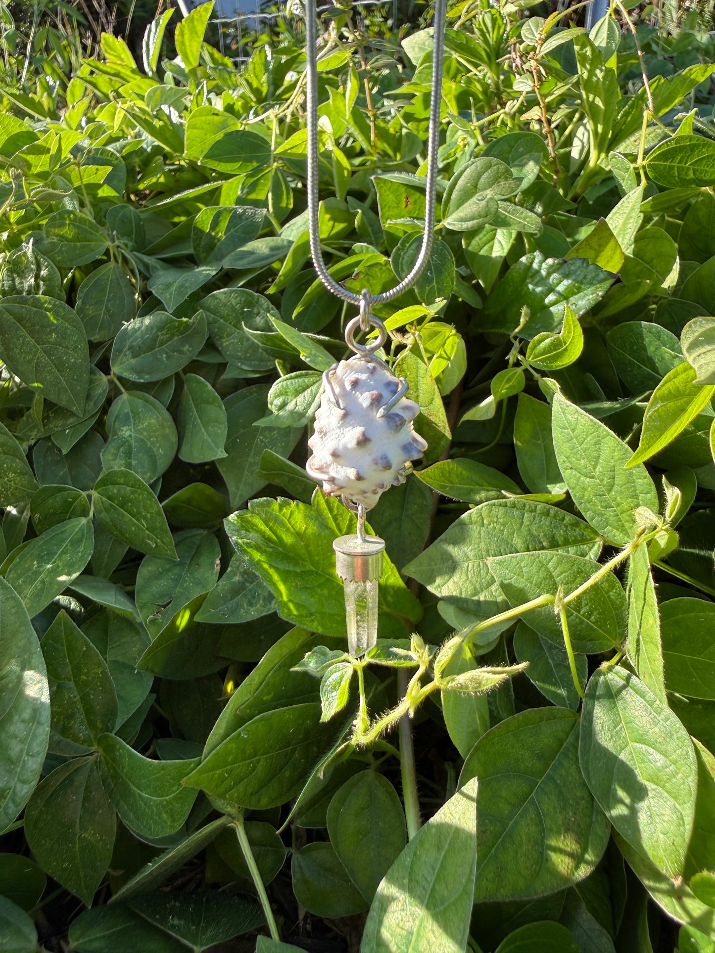White Hawaiian Drupe Shell with Clear Hansen Creek Quartz Crystal Necklace