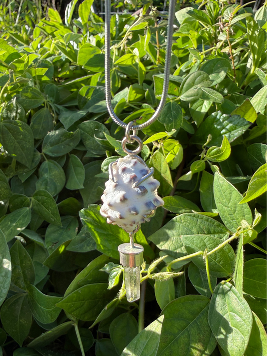 White Hawaiian Drupe Shell with Clear Hansen Creek Quartz Crystal Necklace