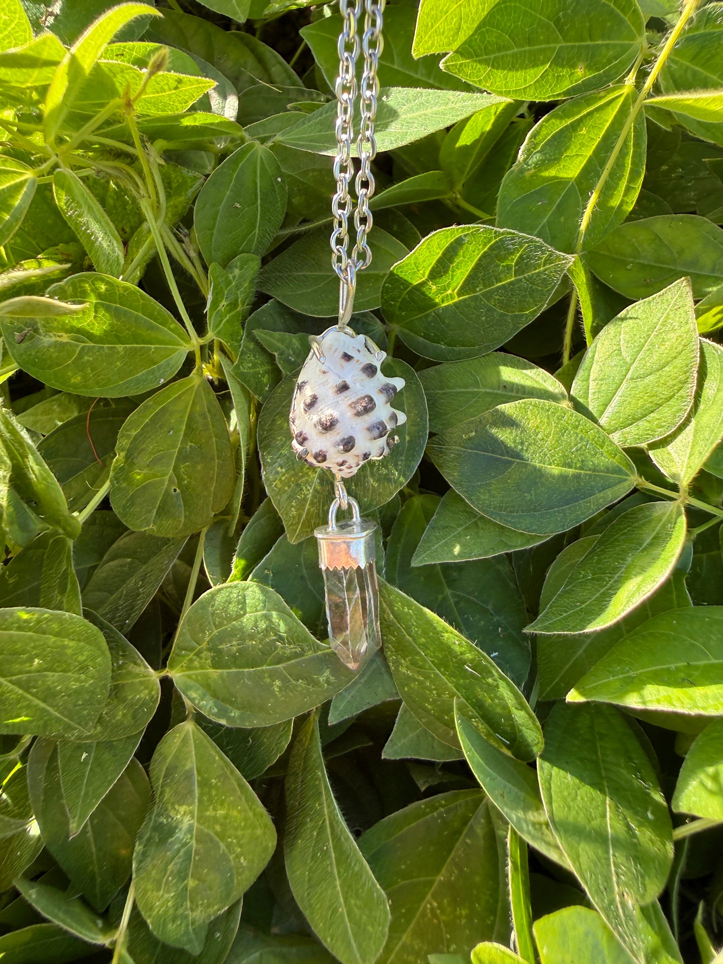 White Hawaiian Drupe Shell with Clear Hansen Creek Quartz Crystal Necklace