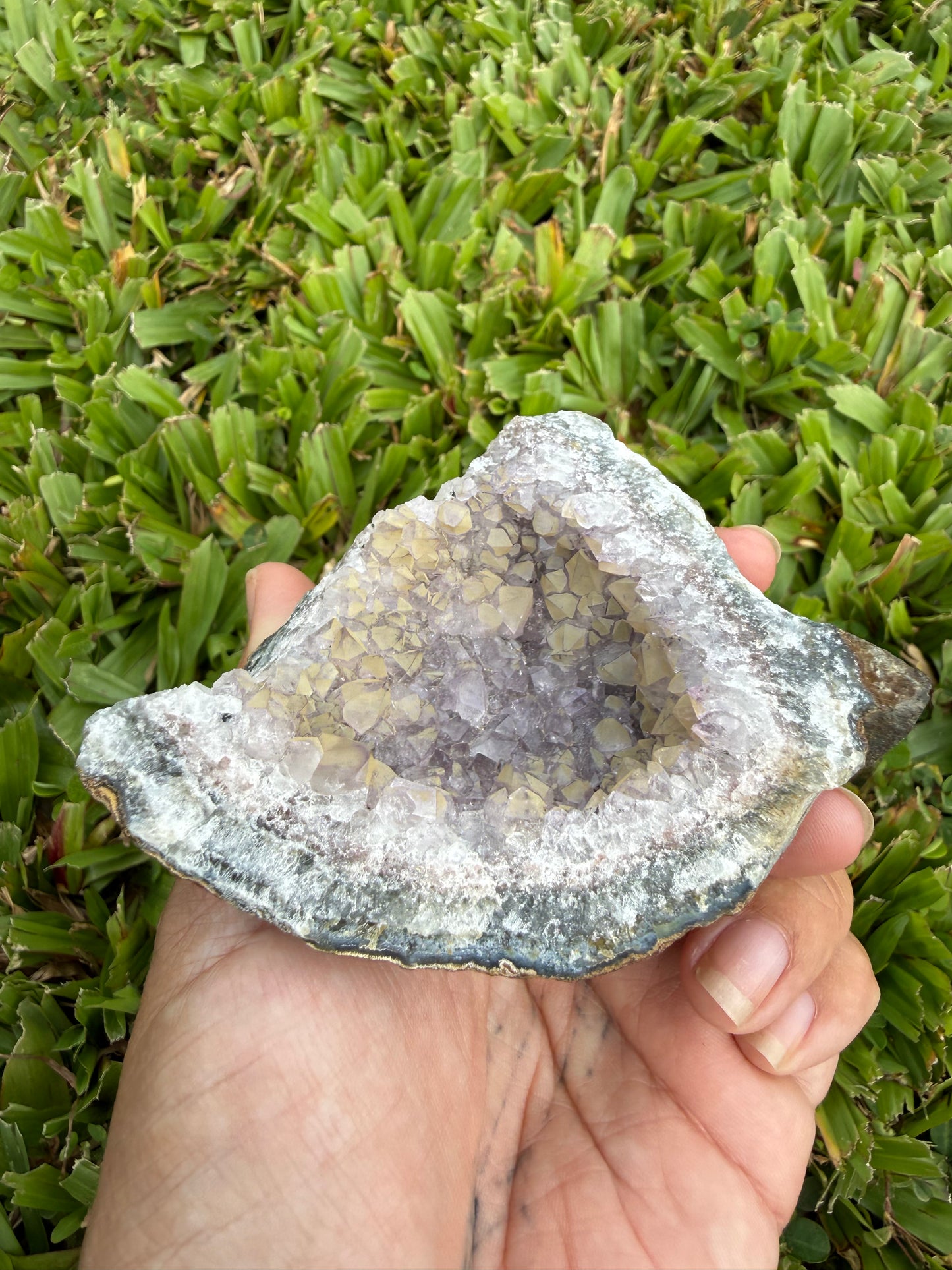 Amethyst Geode