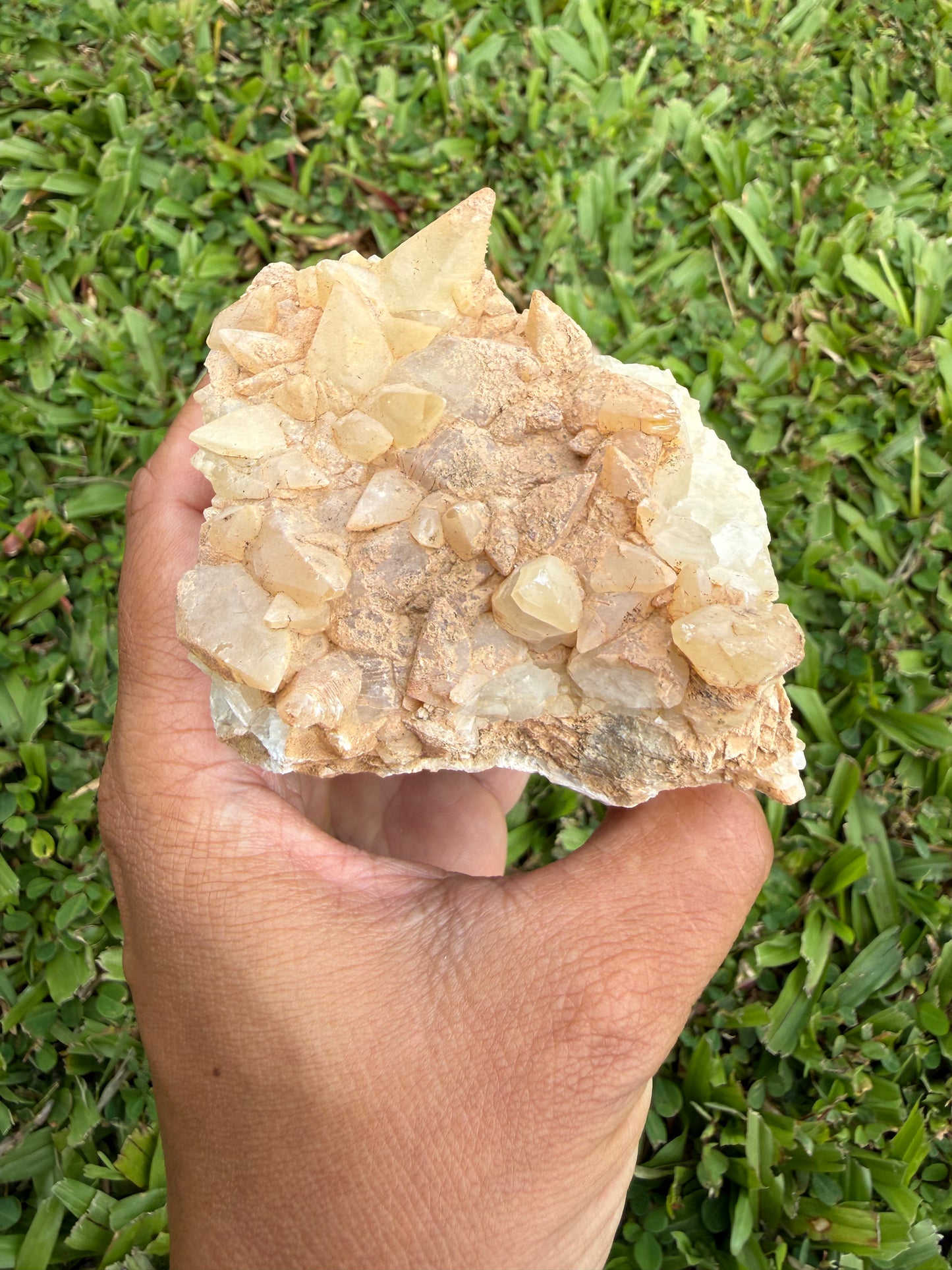 Gallatin River Dog Tooth Calcite Cluster