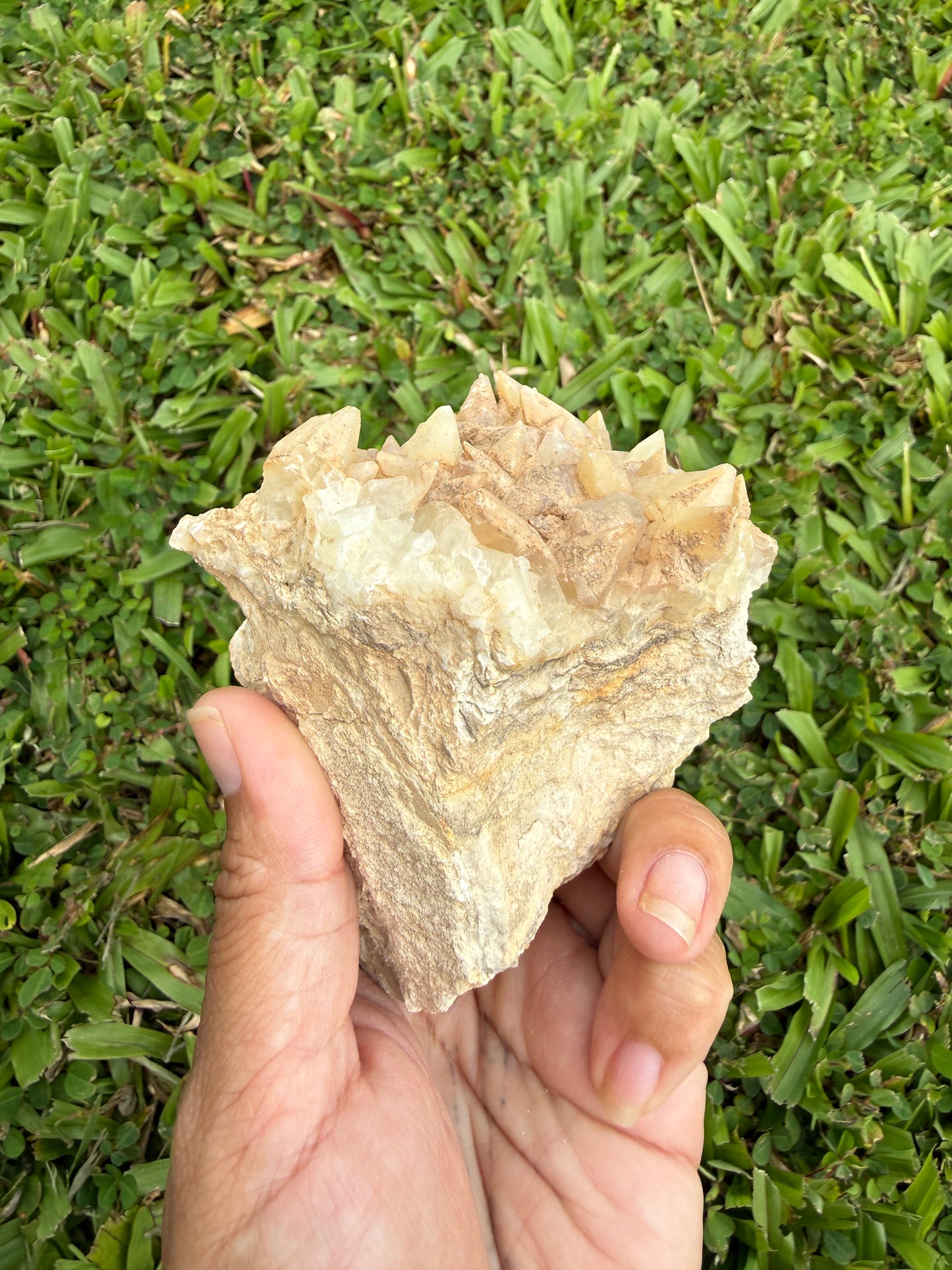 Gallatin River Dog Tooth Calcite Cluster
