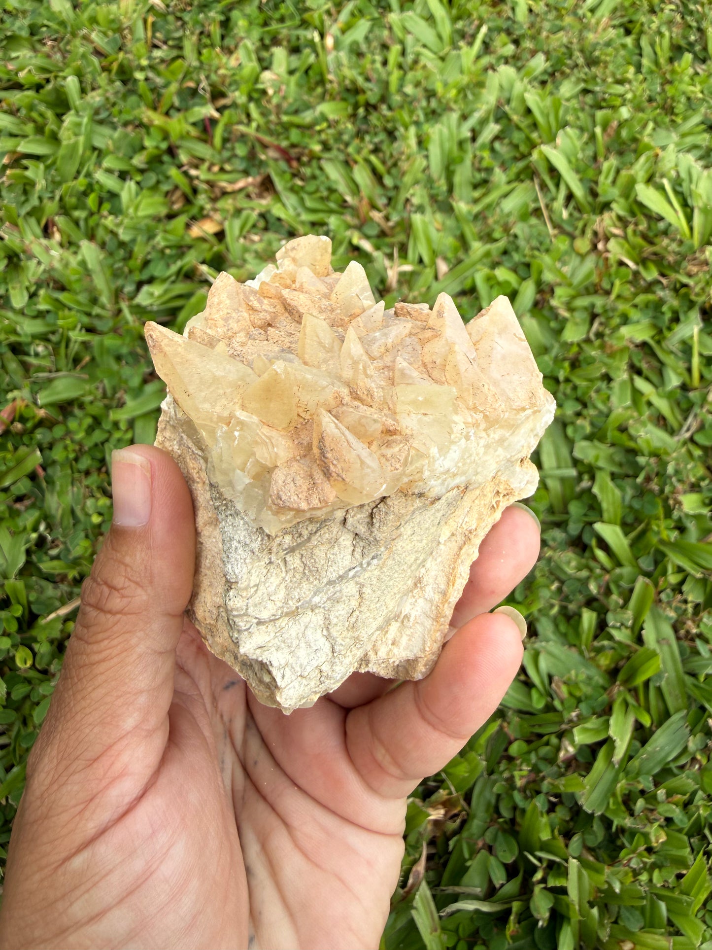 Gallatin River Dog Tooth Calcite Cluster