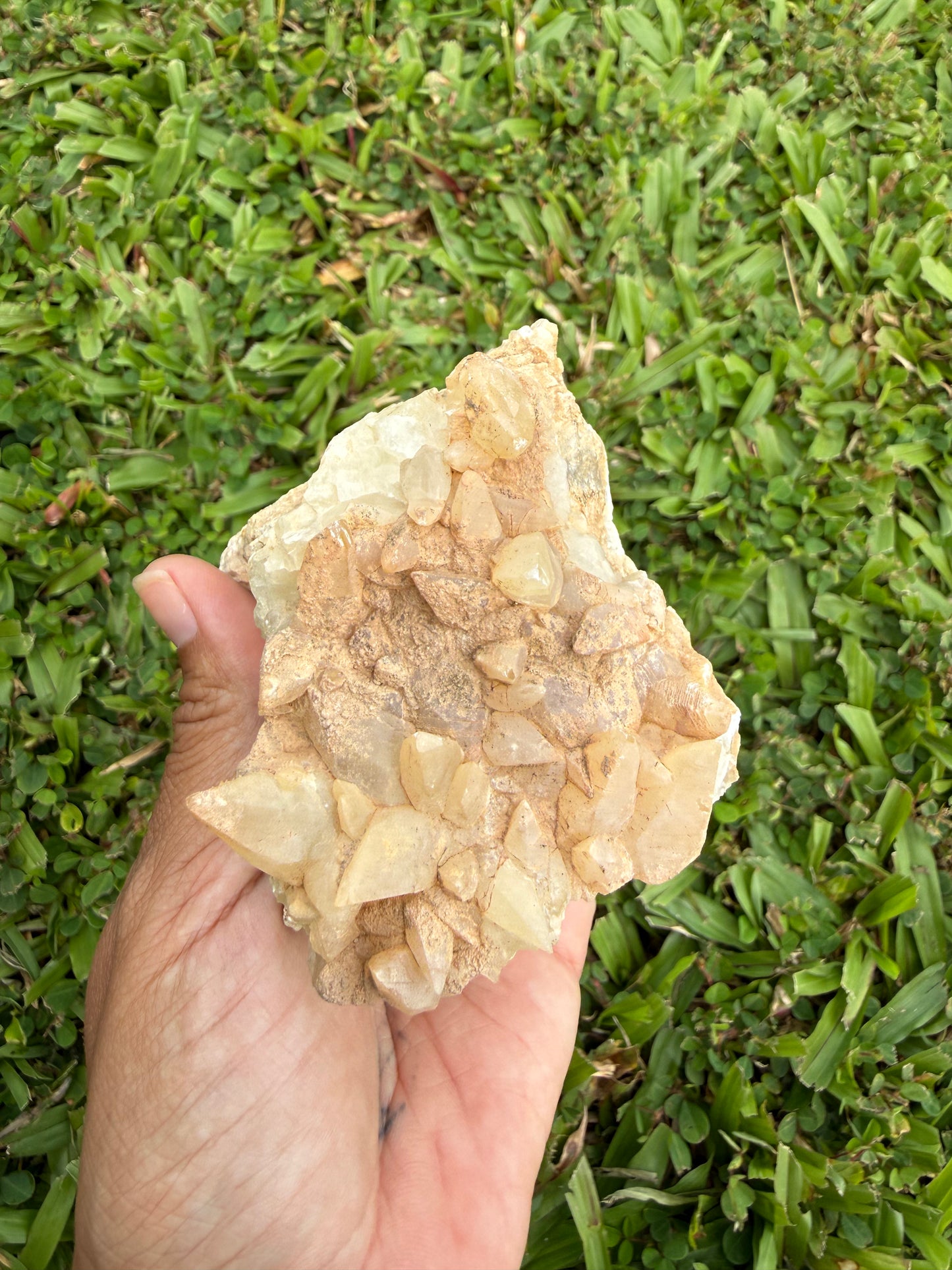 Gallatin River Dog Tooth Calcite Cluster