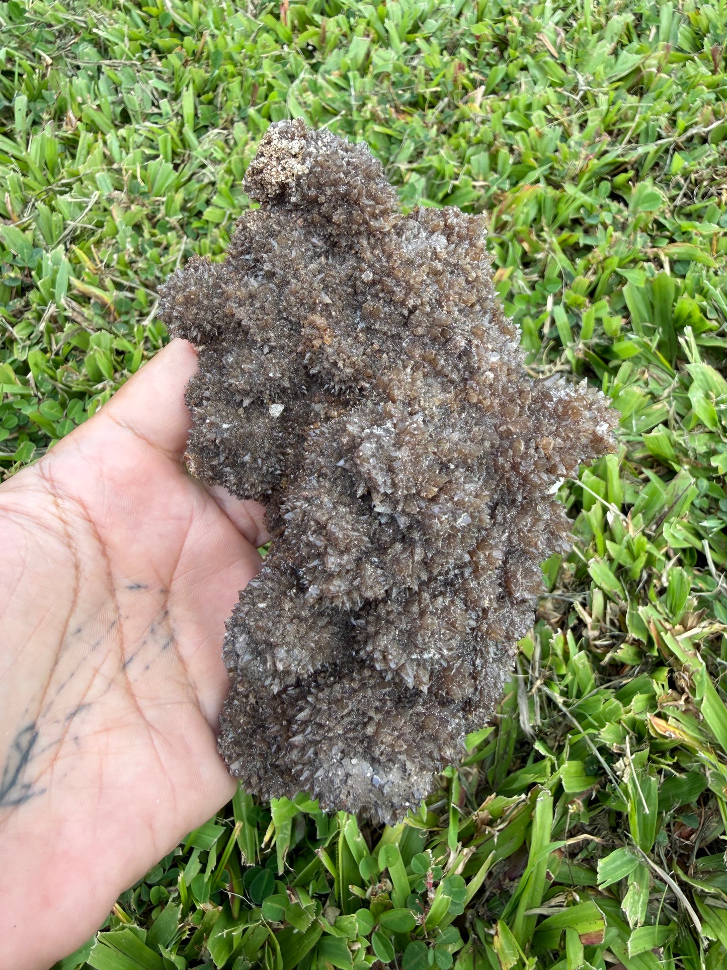 Chocolate Aragonite Cave Calcite Cluster