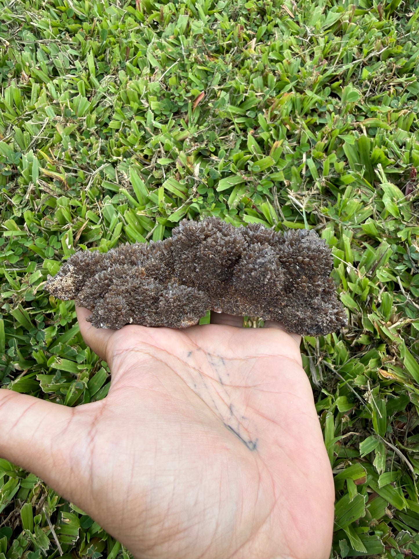 Chocolate Aragonite Cave Calcite Cluster