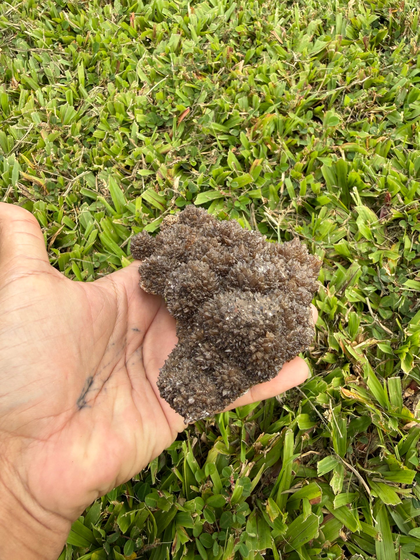 Chocolate Aragonite Cave Calcite Cluster
