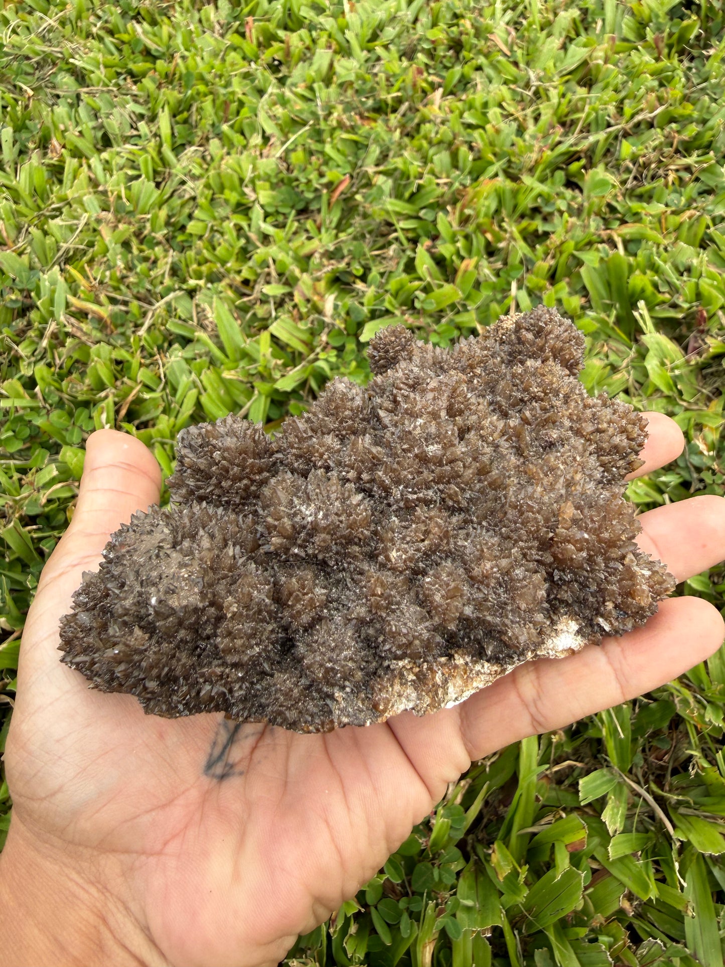 Chocolate Aragonite Cave Calcite Cluster