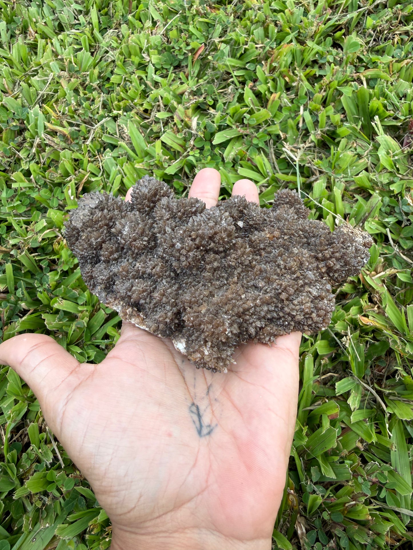Chocolate Aragonite Cave Calcite Cluster