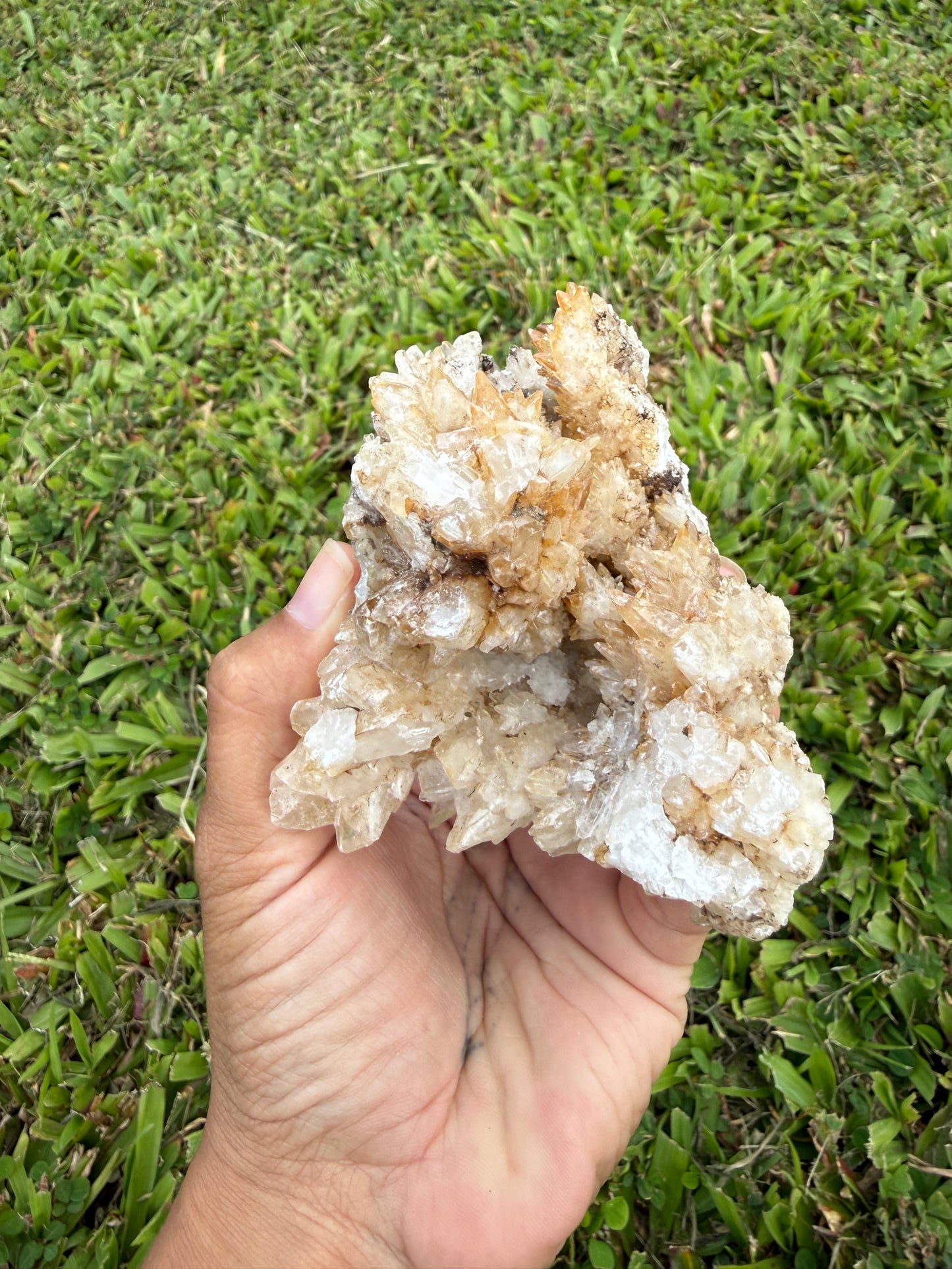 Multi-Color Aragonite Cave Calcite Cluster