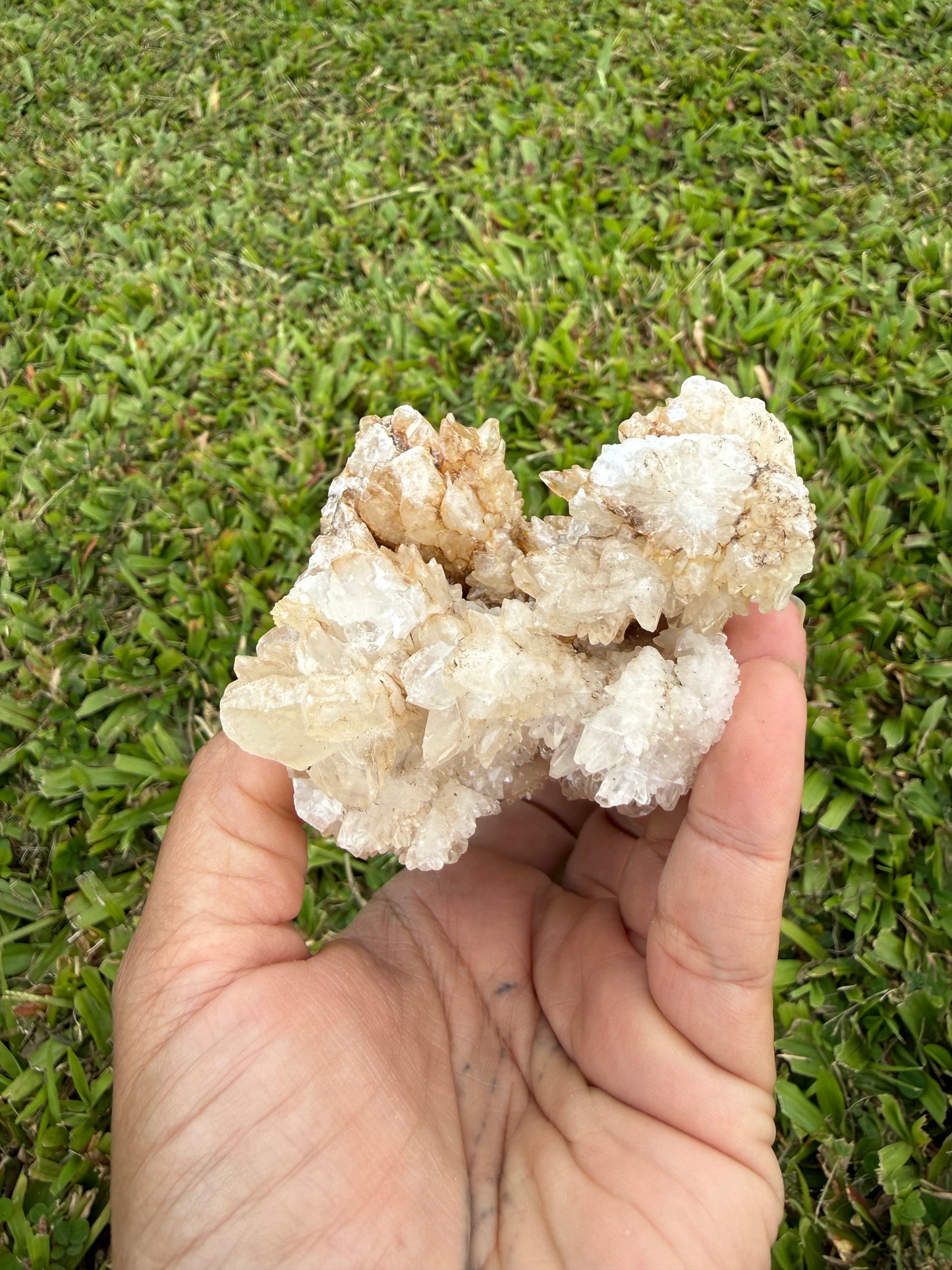 Multi-Color Aragonite Cave Calcite Cluster