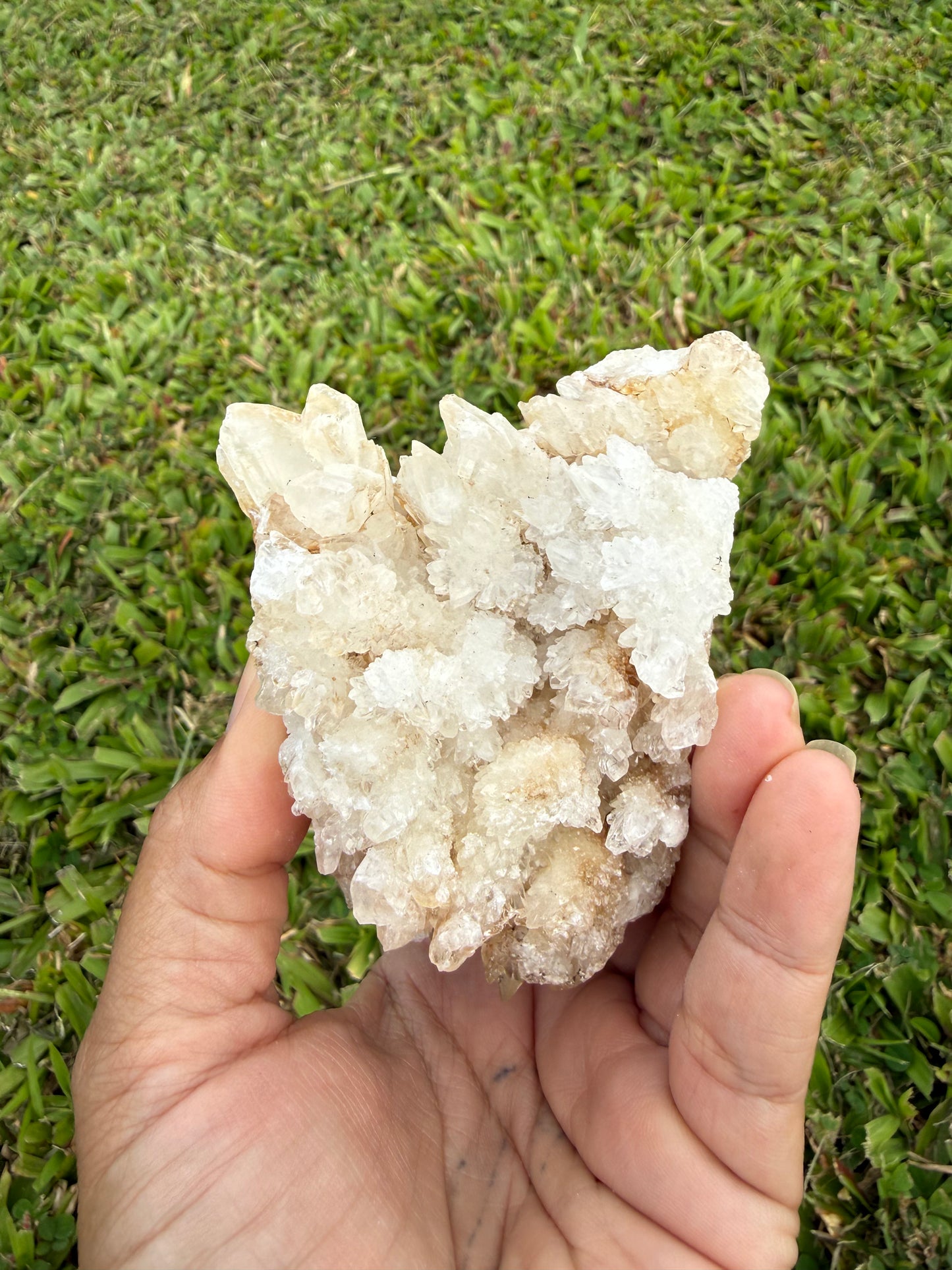Multi-Color Aragonite Cave Calcite Cluster