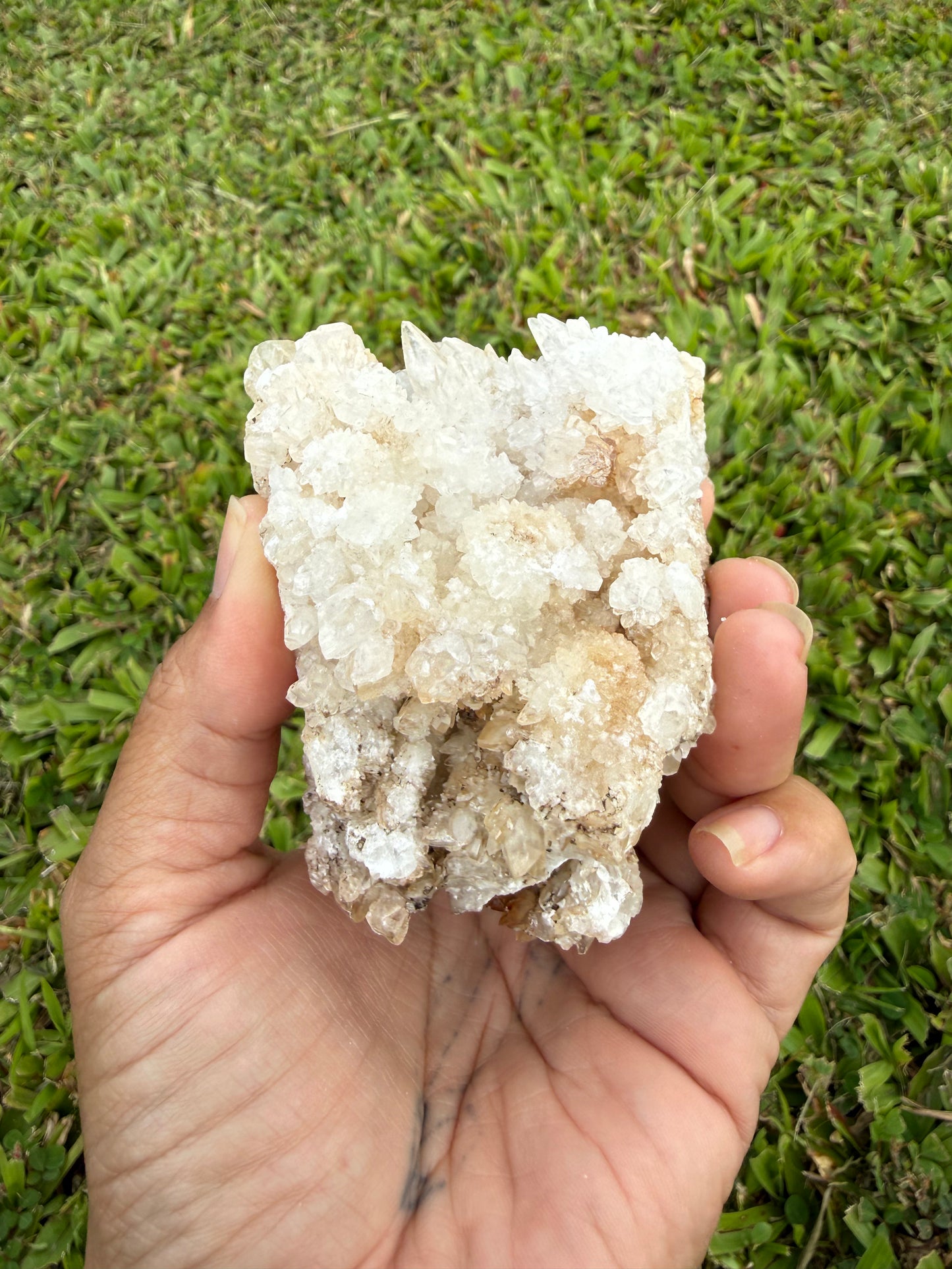 Multi-Color Aragonite Cave Calcite Cluster