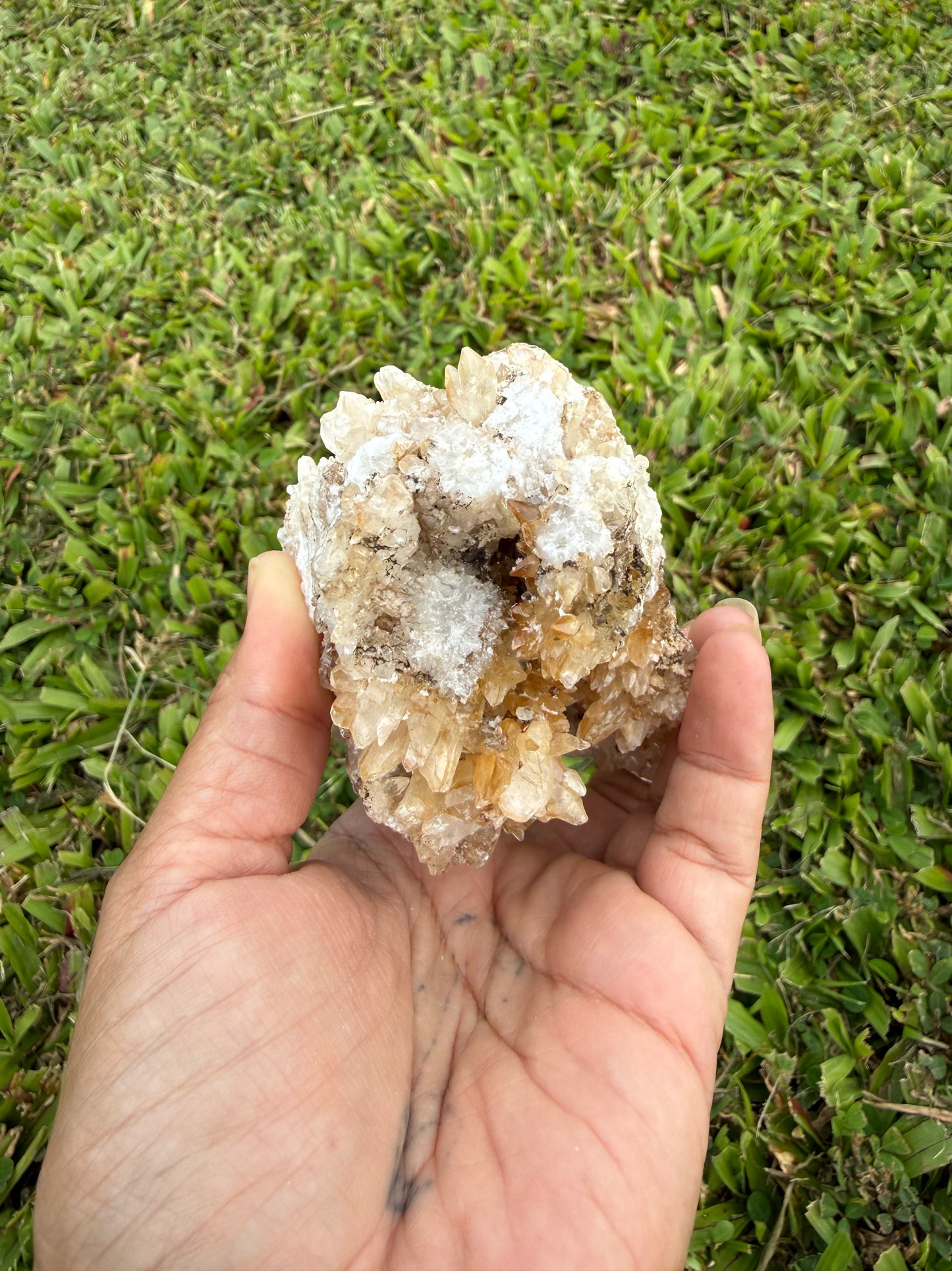 Multi-Color Aragonite Cave Calcite Cluster