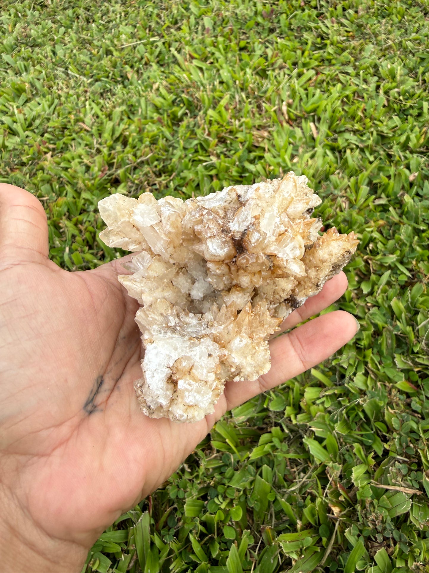 Multi-Color Aragonite Cave Calcite Cluster