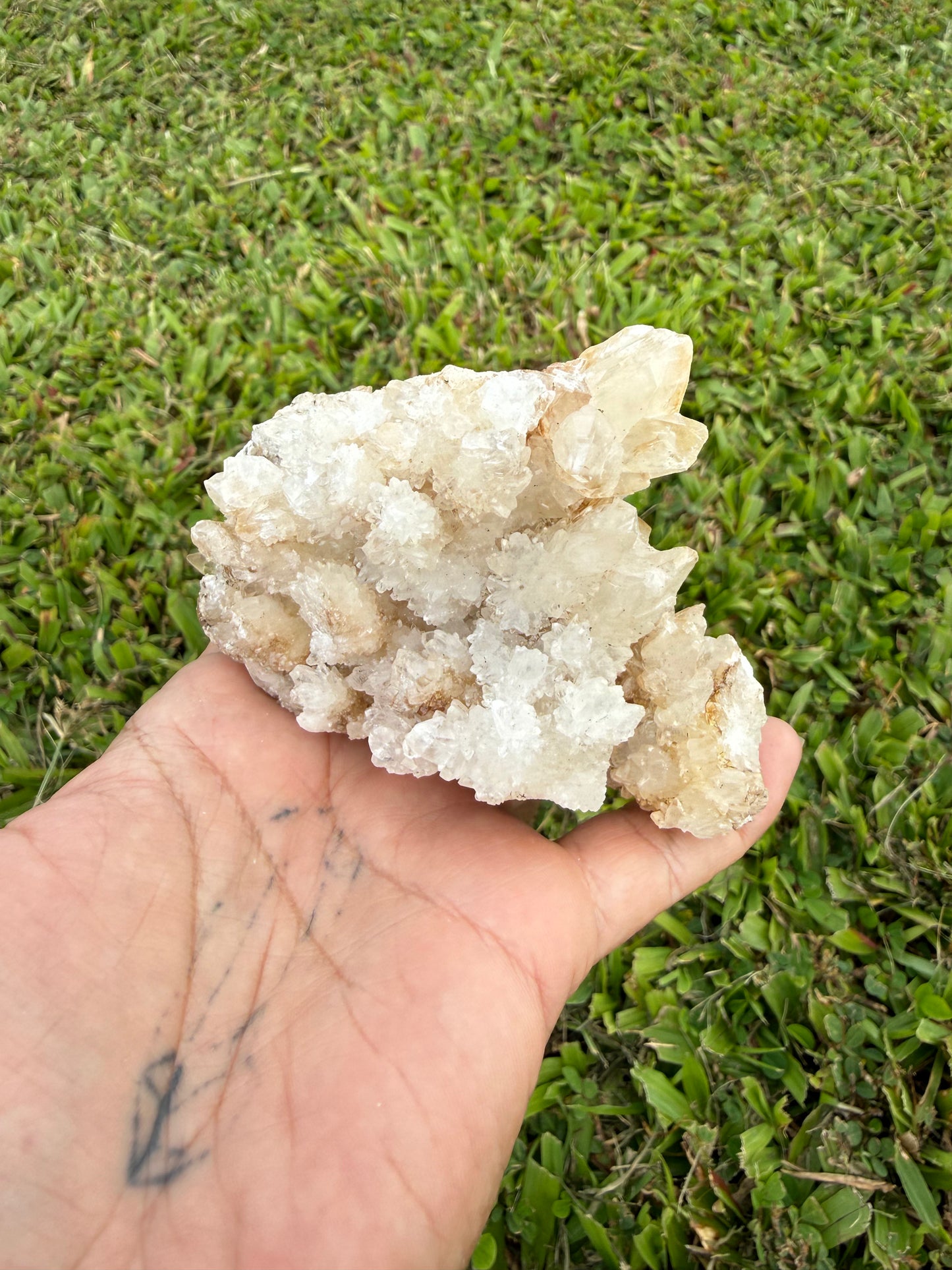 Multi-Color Aragonite Cave Calcite Cluster