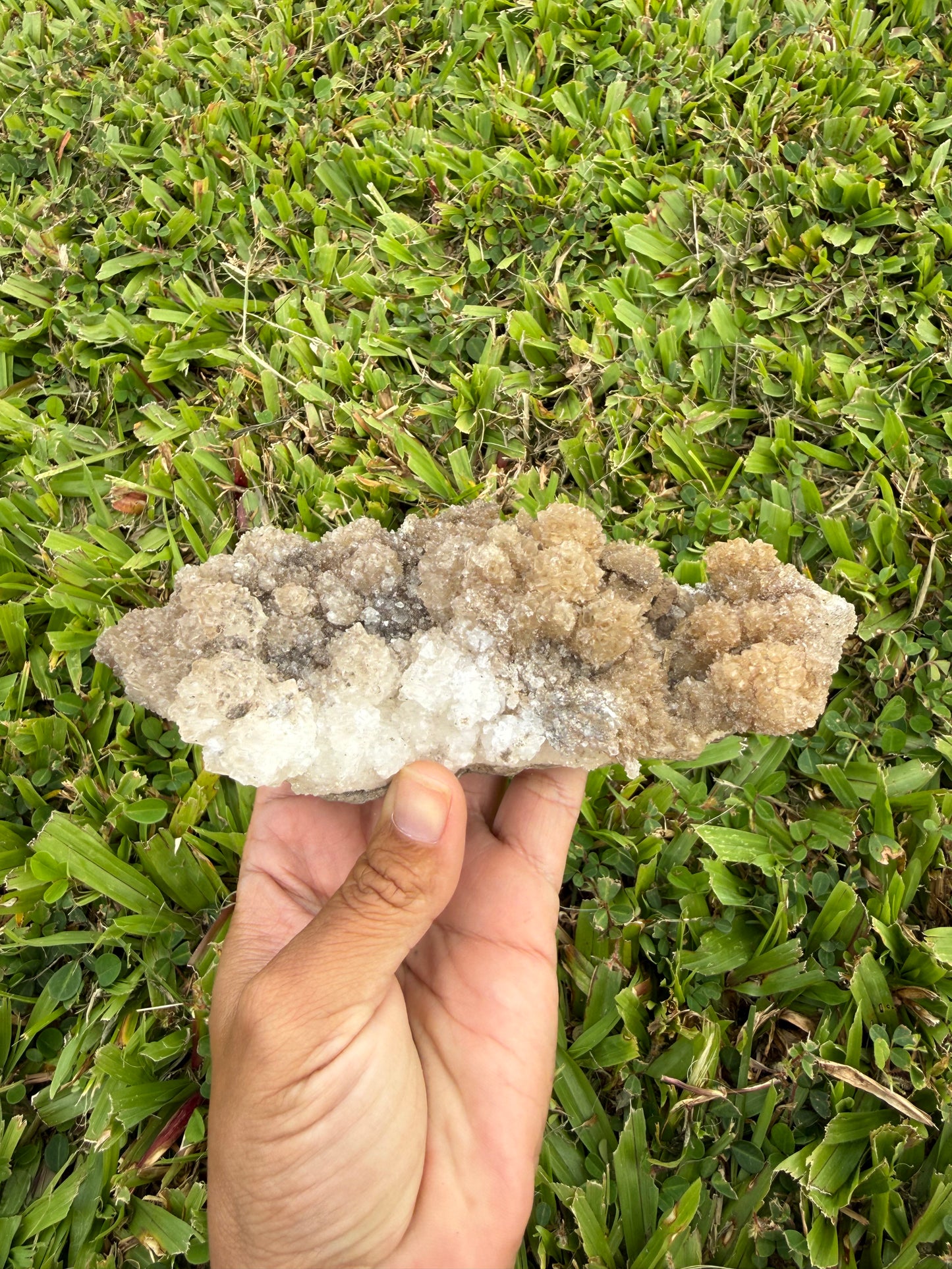 Tan Aragonite Cave Calcite Cluster
