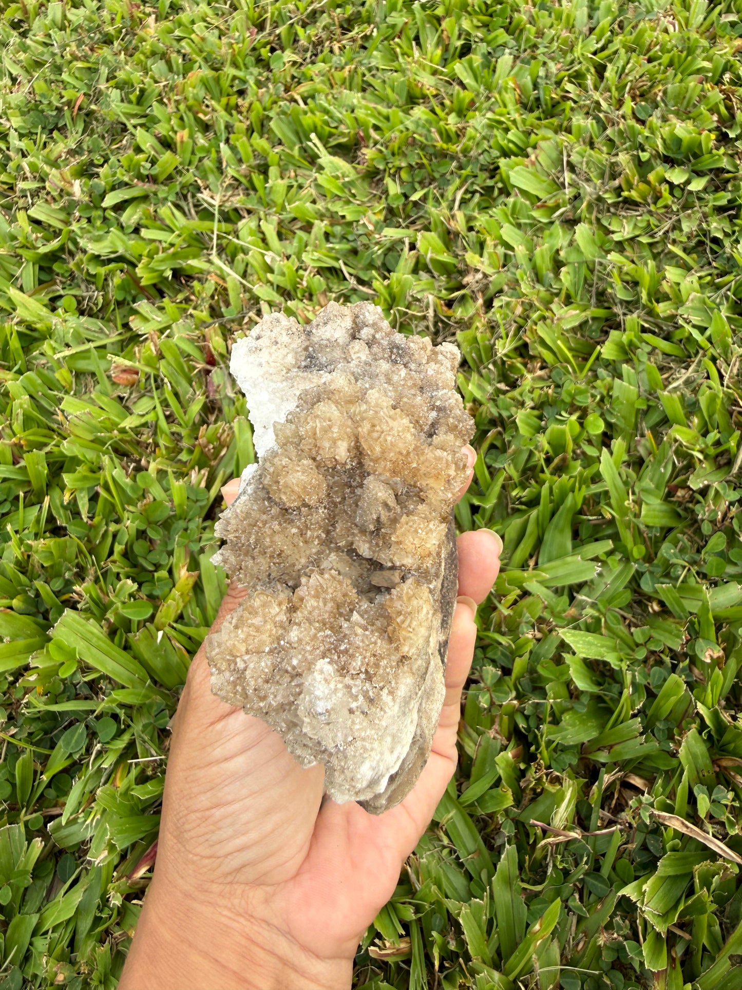 Tan Aragonite Cave Calcite Cluster