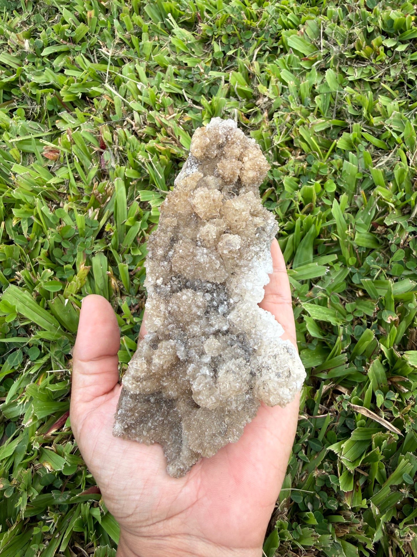 Tan Aragonite Cave Calcite Cluster