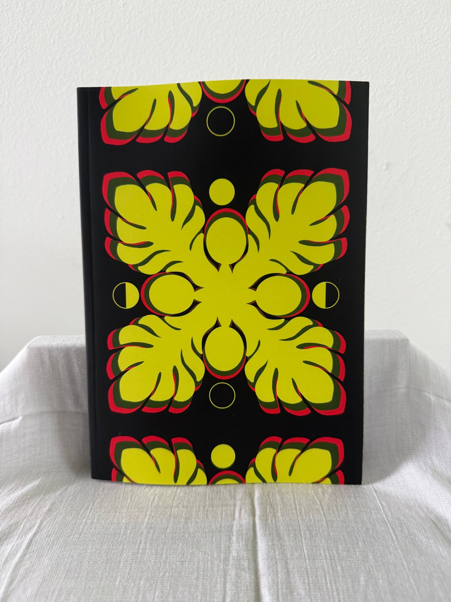 2027 Kaulana Mahina - Kilo Mahina, Moon Observations
