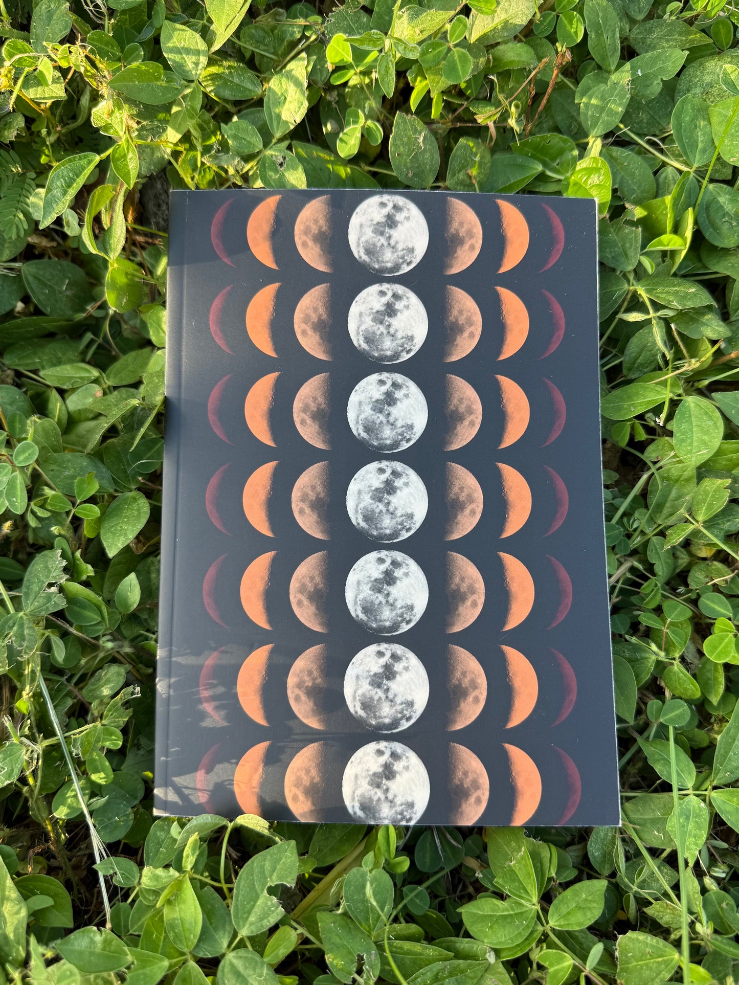 Wholesale: 2027 Waimaka Lehua - Cycle Syncing, Moon Observations